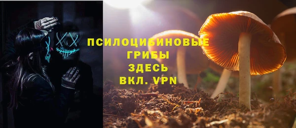 спиды Верея