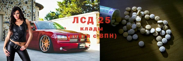 спиды Верея