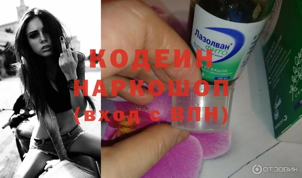 таблы Гусев